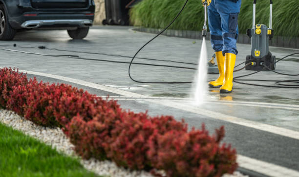 Best Dumpster Area Cleaning  in Yorktown Heights, NY